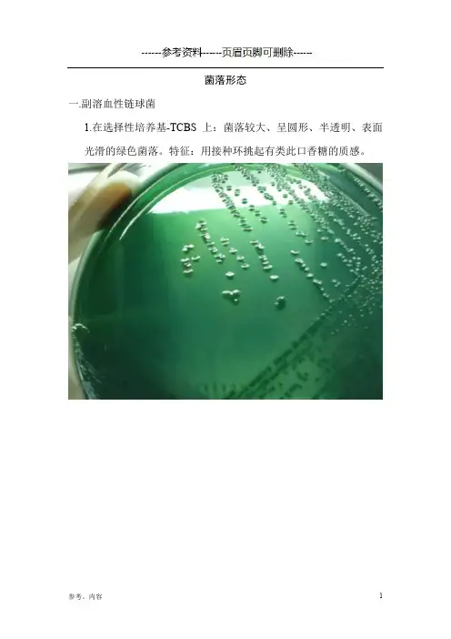 副溶血性弧菌和阪崎肠杆菌的菌落形态(内容参考)