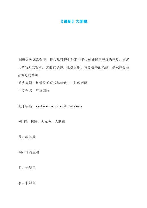 【最新】大刺鳅