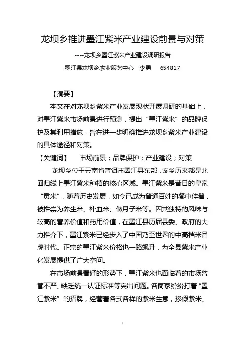 龙坝乡推进墨江紫米产业建设前景和对策