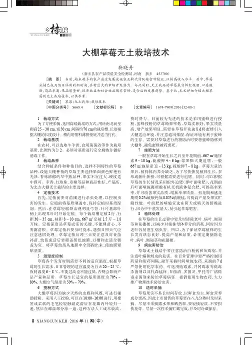 大棚草莓无土栽培技术