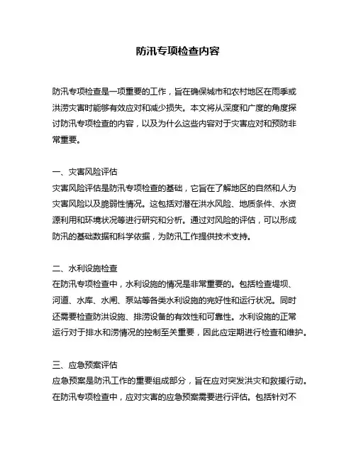 防汛专项检查内容