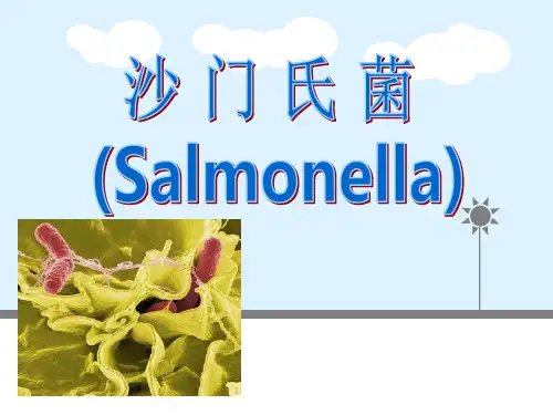 沙门氏菌