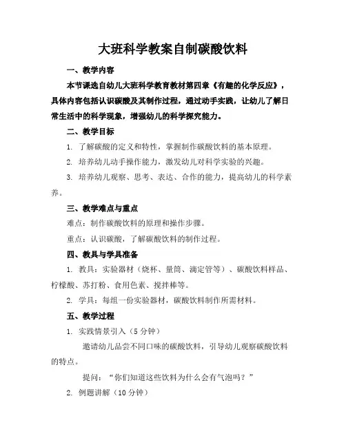 大班科学教案自制碳酸饮料