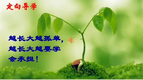 九年级语文课件：10 孤独之旅 (共21张PPT)
