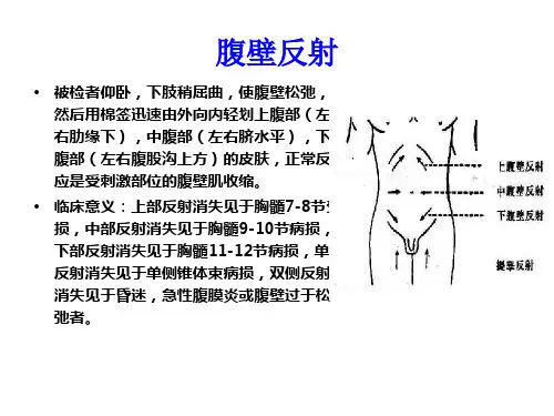 特殊检查方法