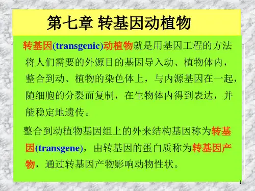 转基因动植物ppt课件