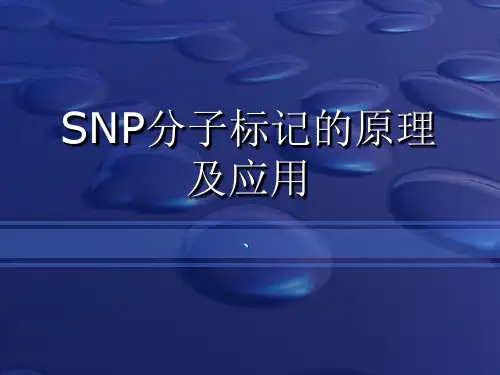 SNP分子标记的原理及应用