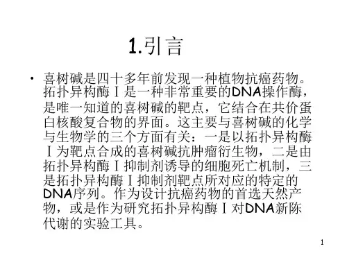 喜树碱的药物设计靶向癌细胞死亡与基因