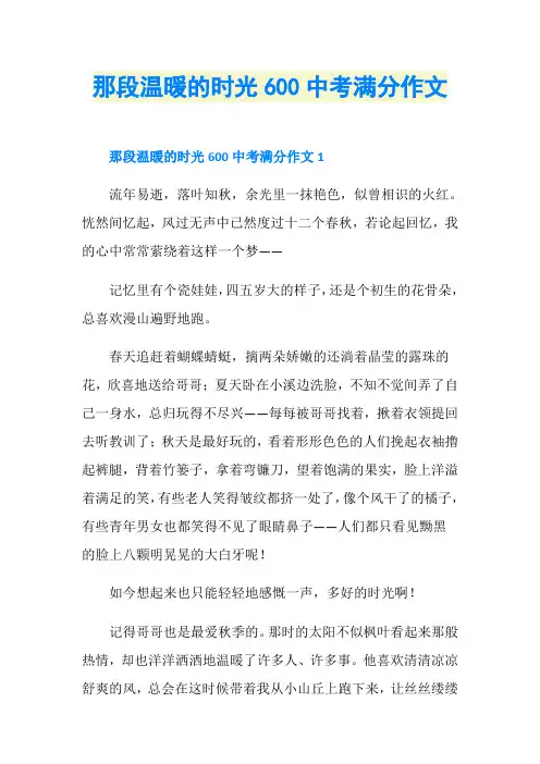那段温暖的时光600中考满分作文