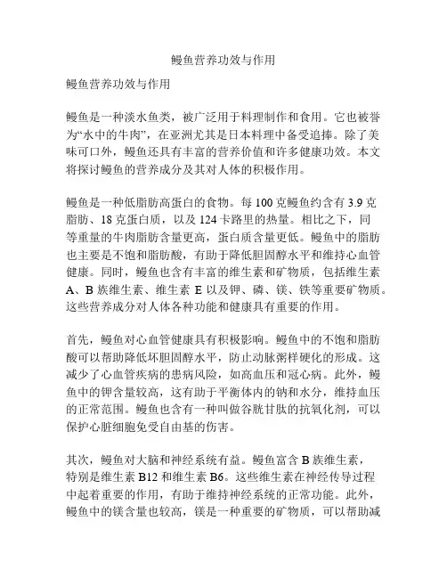 鳗鱼营养功效与作用