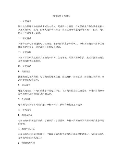湖可行性研究报告