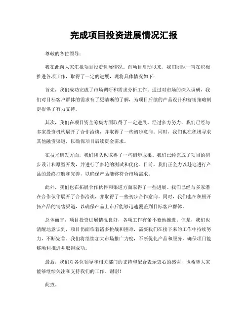 完成项目投资进展情况汇报