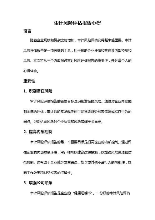 审计风险评估报告心得