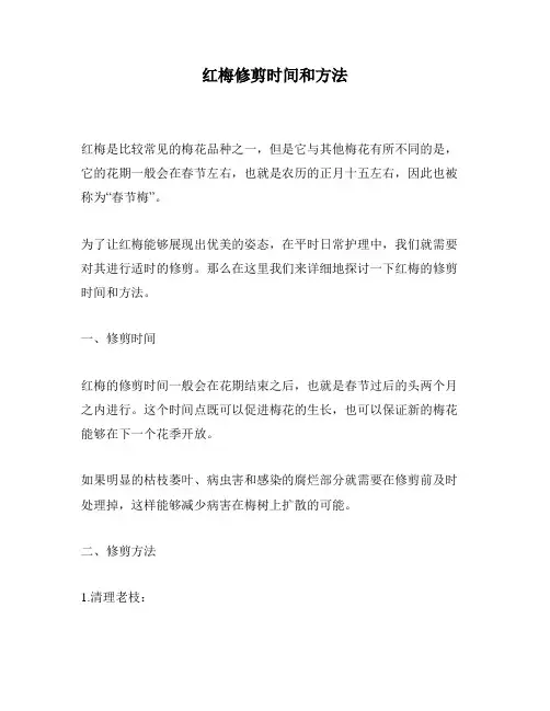 红梅修剪时间和方法