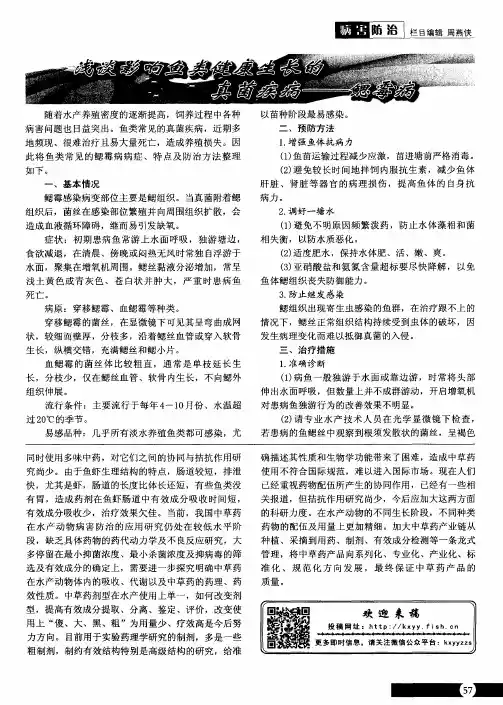 浅谈影响鱼类健康生长的真菌疾病——鳃霉病