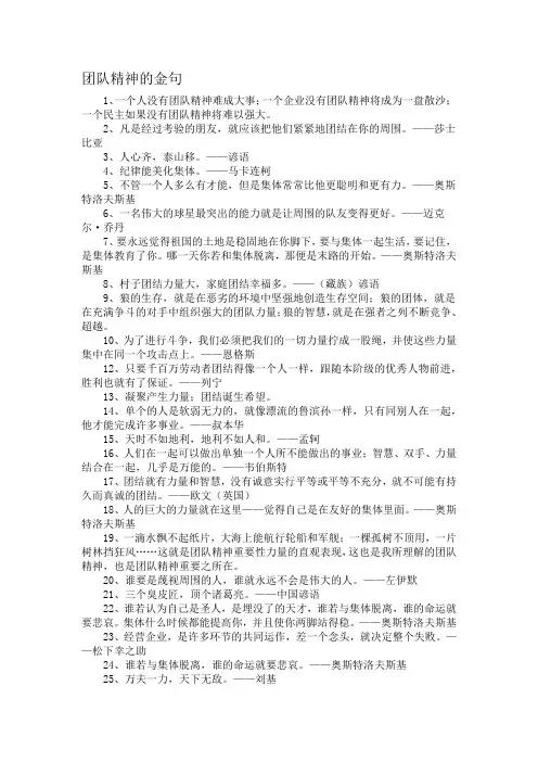 团队精神的金句