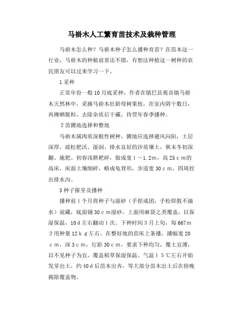 马褂木人工繁育苗技术及栽种管理