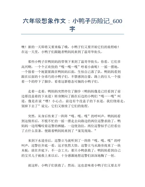 六年级想象作文：小鸭子历险记_600字