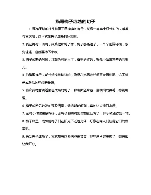 描写梅子成熟的句子