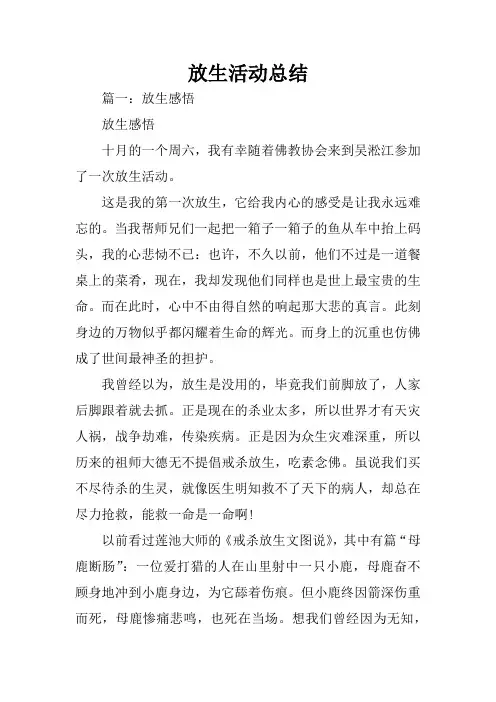 放生活动总结
