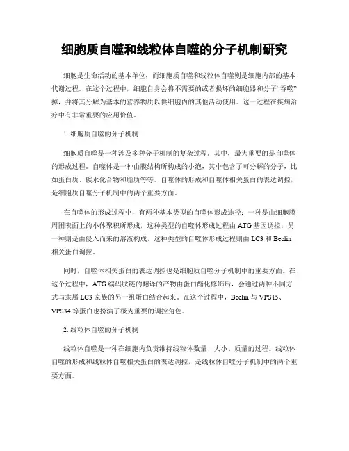 细胞质自噬和线粒体自噬的分子机制研究