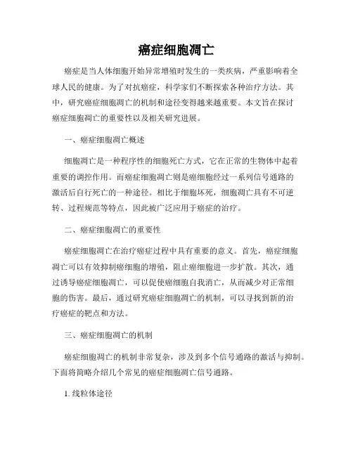 癌症细胞凋亡