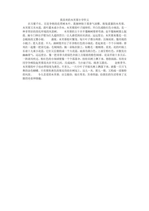 我喜欢的木芙蓉小学作文