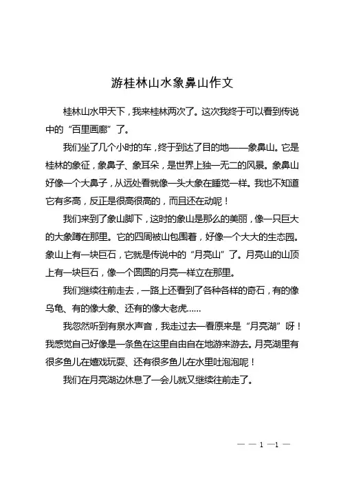游桂林山水象鼻山作文