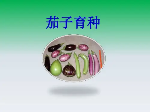蔬菜育种学：第3章 茄子育种