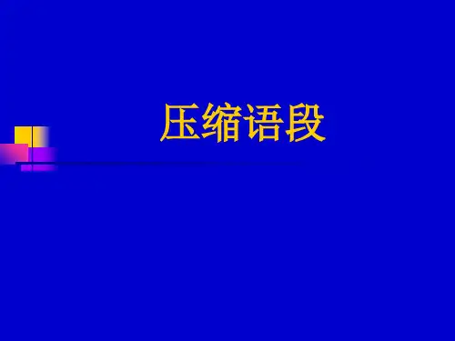 高考复习压缩语段PPT63[优秀课件资料]