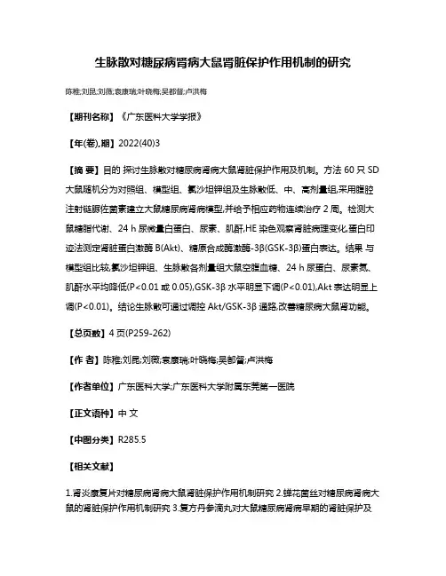 生脉散对糖尿病肾病大鼠肾脏保护作用机制的研究