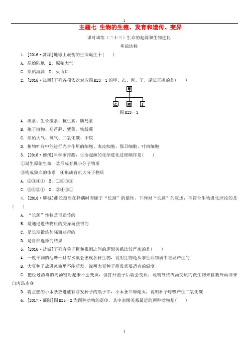 中考生物复习(23)生命的起源和生物进化作业手册(含答案)