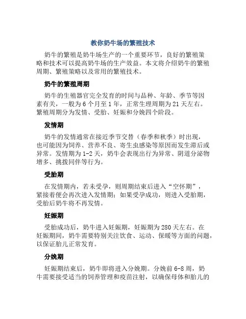 教你奶牛场的繁殖技术