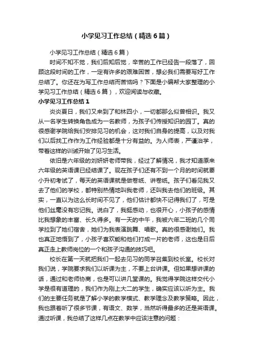 小学见习工作总结（精选6篇）