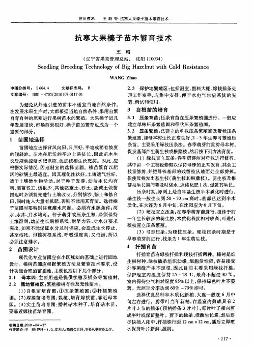 抗寒大果榛子苗木繁育技术