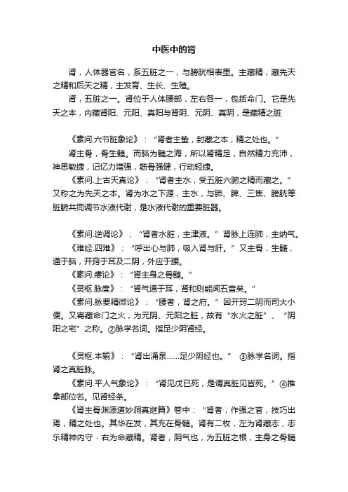 中医中的肾