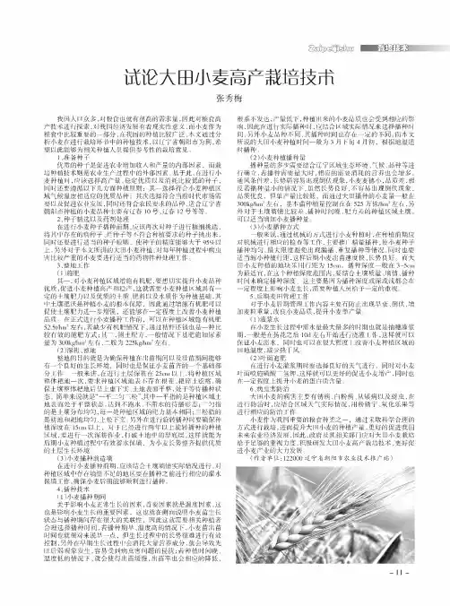 试论大田小麦高产栽培技术