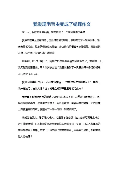 我发现毛毛虫变成了蝴蝶作文
