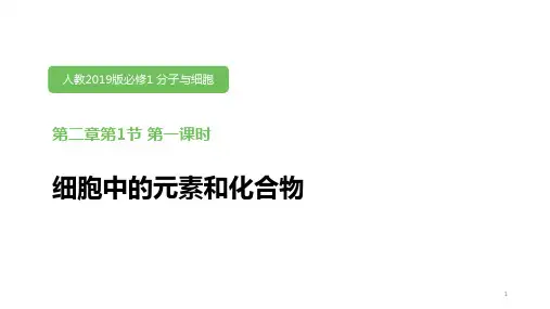 人教版高中生物必修1第二章第一节《细胞中的元素和化合物》第一课时(共14张ppt)