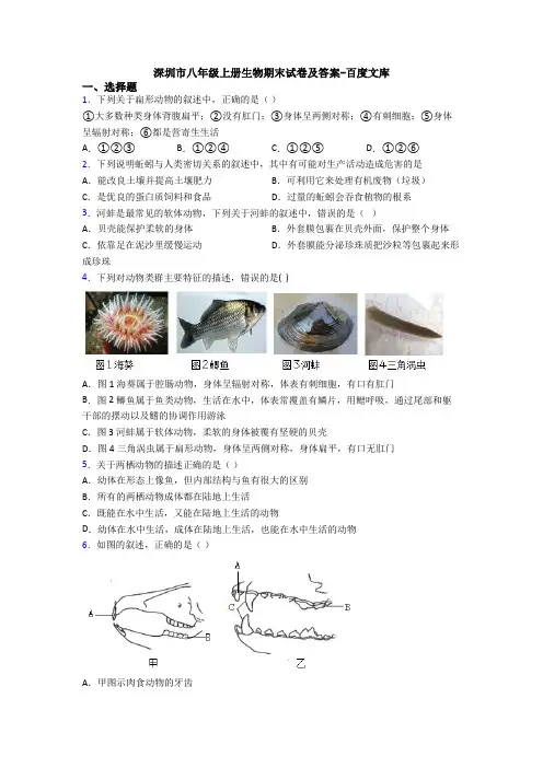 深圳市八年级上册生物期末试卷及答案-百度文库