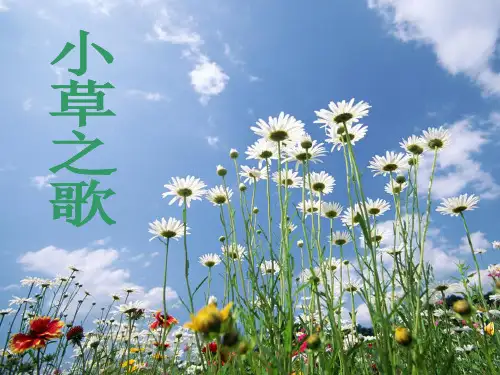 小草之歌 ppt(语文s版四上)PPT课件