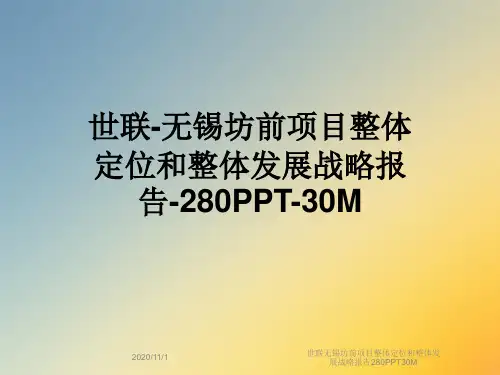 世联无锡坊前项目整体定位和整体发展战略报告280PPT30M