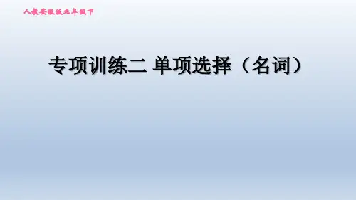2020春人教版九年级英语中考题型专训课件-专项训练二 单项选择(名词)