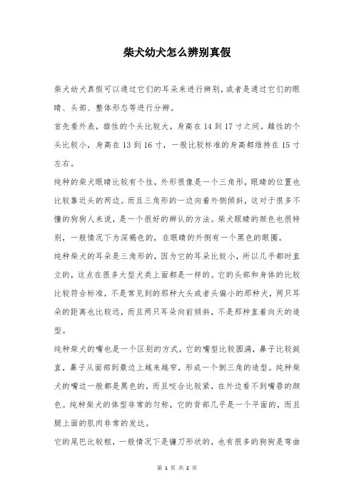 柴犬幼犬怎么辨别真假