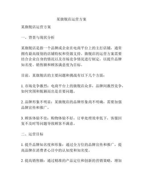 某旗舰店运营方案