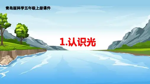 认识光课件精品