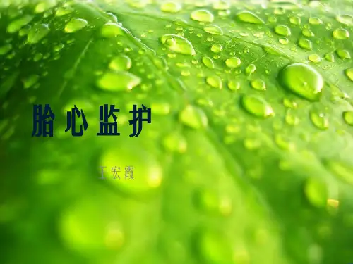 《胎心监护》幻灯片PPT