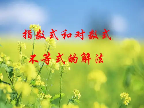 指数、对数不等式的解法PPT教学课件