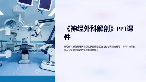 《神经外科解剖》课件