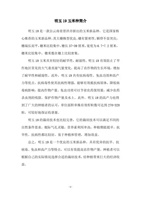 明玉19玉米种简介